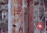 Standbild Telefonmast Hiroshima Japan, 1946, aus Sekunde 17 historischem Filmmaterial Videoclip 65675042134