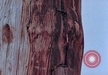 Standbild Telefonmast Hiroshima Japan, 1946, aus Sekunde 25 historischem Filmmaterial Videoclip 65675042134