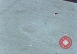 Image of Japanese woman Hiroshima Japan, 1946, second 37 stock footage video 65675042135