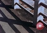 Image of Japanese woman Hiroshima Japan, 1946, second 45 stock footage video 65675042135