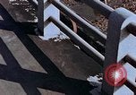 Image of Japanese woman Hiroshima Japan, 1946, second 56 stock footage video 65675042135