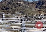Image of damaged building Nagasaki Japan, 1946, second 12 stock footage video 65675042143