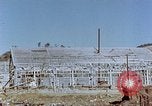 Standbild japanische Schalen Nagasaki Japan, 1946, aus Sekunde 17 historischem Filmmaterial Videoclip 65675042145