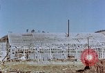 Standbild japanische Schalen Nagasaki Japan, 1946, aus Sekunde 23 historischem Filmmaterial Videoclip 65675042145