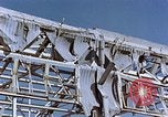 Standbild japanische Schalen Nagasaki Japan, 1946, aus Sekunde 32 historischem Filmmaterial Videoclip 65675042145