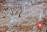 Standbild neu errichteten Wohnungen Nagasaki Japan, 1946, aus Sekunde 56 historischem Filmmaterial Videoclip 65675042152