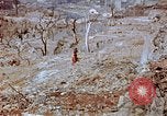 Standbild neu errichteten Wohnungen Nagasaki Japan, 1946, aus Sekunde 58 historischem Filmmaterial Videoclip 65675042152