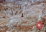 Standbild neu errichteten Wohnungen Nagasaki Japan, 1946, aus Sekunde 60 historischem Filmmaterial Videoclip 65675042152