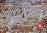 Standbild neu errichteten Wohnungen Nagasaki Japan, 1946, aus Sekunde 61 historischem Filmmaterial Videoclip 65675042152