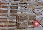 Image of wooden fuse Nagasaki Japan, 1946, second 11 stock footage video 65675042154