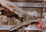 Image of wooden fuse Nagasaki Japan, 1946, second 36 stock footage video 65675042154