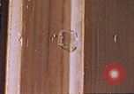 Image of Japanese nurse Hiroshima Japan, 1946, second 11 stock footage video 65675042172