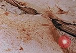 Image of Japanese nurse Hiroshima Japan, 1946, second 29 stock footage video 65675042172