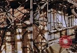 Standbild ordnance Anlage Nagasaki Japan, 1946, aus Sekunde 26 historischem Filmmaterial Videoclip 65675042185
