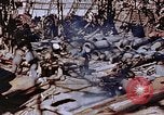 Standbild ordnance Anlage Nagasaki Japan, 1946, aus Sekunde 46 historischem Filmmaterial Videoclip 65675042185