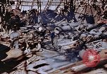 Standbild ordnance Anlage Nagasaki Japan, 1946, aus Sekunde 47 historischem Filmmaterial Videoclip 65675042185