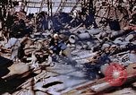 Standbild ordnance Anlage Nagasaki Japan, 1946, aus Sekunde 48 historischem Filmmaterial Videoclip 65675042185