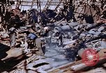 Standbild ordnance Anlage Nagasaki Japan, 1946, aus Sekunde 50 historischem Filmmaterial Videoclip 65675042185
