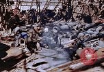 Standbild ordnance Anlage Nagasaki Japan, 1946, aus Sekunde 51 historischem Filmmaterial Videoclip 65675042185