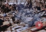 Standbild ordnance Anlage Nagasaki Japan, 1946, aus Sekunde 54 historischem Filmmaterial Videoclip 65675042185