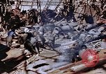 Standbild ordnance Anlage Nagasaki Japan, 1946, aus Sekunde 55 historischem Filmmaterial Videoclip 65675042185