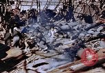 Standbild ordnance Anlage Nagasaki Japan, 1946, aus Sekunde 58 historischem Filmmaterial Videoclip 65675042185