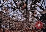 Immagine di Mitsubishi piccolo impianto di armi Nagasaki Giappone, 1946, secondo 3 filmato di repertorio 65675042186