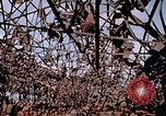 Immagine di Mitsubishi piccolo impianto di armi Nagasaki Giappone, 1946, secondo 4 filmato di repertorio 65675042186