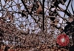 Immagine di Mitsubishi piccolo impianto di armi Nagasaki Giappone, 1946, secondo 5 filmato di repertorio 65675042186