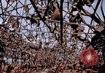 Immagine di Mitsubishi piccolo impianto di armi Nagasaki Giappone, 1946, secondo 7 filmato di repertorio 65675042186