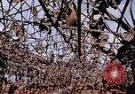 Immagine di Mitsubishi piccolo impianto di armi Nagasaki Giappone, 1946, secondo 9 filmato di repertorio 65675042186