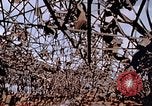 Immagine di Mitsubishi piccolo impianto di armi Nagasaki Giappone, 1946, secondo 16 filmato di repertorio 65675042186