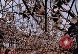 Immagine di Mitsubishi piccolo impianto di armi Nagasaki Giappone, 1946, secondo 18 filmato di repertorio 65675042186