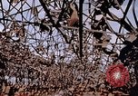 Immagine di Mitsubishi piccolo impianto di armi Nagasaki Giappone, 1946, secondo 19 filmato di repertorio 65675042186