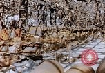Immagine di Mitsubishi piccolo impianto di armi Nagasaki Giappone, 1946, secondo 33 filmato di repertorio 65675042186