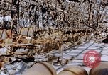 Immagine di Mitsubishi piccolo impianto di armi Nagasaki Giappone, 1946, secondo 35 filmato di repertorio 65675042186