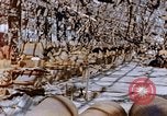 Immagine di Mitsubishi piccolo impianto di armi Nagasaki Giappone, 1946, secondo 36 filmato di repertorio 65675042186