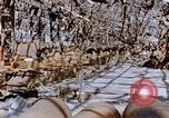 Immagine di Mitsubishi piccolo impianto di armi Nagasaki Giappone, 1946, secondo 37 filmato di repertorio 65675042186