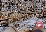 Immagine di Mitsubishi piccolo impianto di armi Nagasaki Giappone, 1946, secondo 38 filmato di repertorio 65675042186