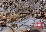 Immagine di Mitsubishi piccolo impianto di armi Nagasaki Giappone, 1946, secondo 39 filmato di repertorio 65675042186