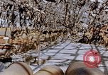 Immagine di Mitsubishi piccolo impianto di armi Nagasaki Giappone, 1946, secondo 40 filmato di repertorio 65675042186