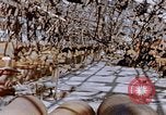 Immagine di Mitsubishi piccolo impianto di armi Nagasaki Giappone, 1946, secondo 41 filmato di repertorio 65675042186