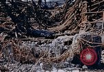 Immagine di Mitsubishi piccolo impianto di armi Nagasaki Giappone, 1946, secondo 42 filmato di repertorio 65675042186
