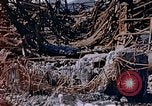 Immagine di Mitsubishi piccolo impianto di armi Nagasaki Giappone, 1946, secondo 43 filmato di repertorio 65675042186