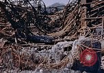 Immagine di Mitsubishi piccolo impianto di armi Nagasaki Giappone, 1946, secondo 45 filmato di repertorio 65675042186