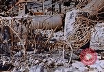 Immagine di Mitsubishi piccolo impianto di armi Nagasaki Giappone, 1946, secondo 61 filmato di repertorio 65675042186