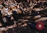 Standbild Torpedo Komponenten Nagasaki Japan, 1946, aus Sekunde 39 historischem Filmmaterial Videoclip 65675042188