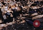 Standbild Torpedo Komponenten Nagasaki Japan, 1946, aus Sekunde 41 historischem Filmmaterial Videoclip 65675042188