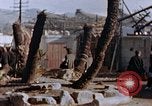 Standbild Carpenter Nagasaki Japan, 1946, aus Sekunde 42 historischem Filmmaterial Videoclip 65675042189