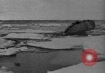 Standbild Sir Hubert Wilkins Arktis, 1931, aus Sekunde 21 historischem Filmmaterial Videoclip 65675042197